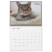 2020 Petals Feather & Friends Kalender (Mär 2027)