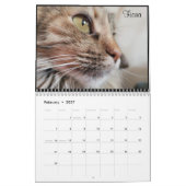 2020 Petals Feather & Friends Kalender (Feb 2027)