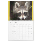 2020 Raccoon Kalender aus Wild Blue Yonder . (Feb 2026)