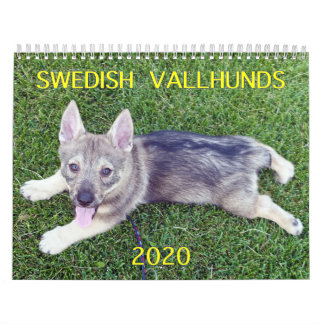 2020 SCHWEDISCHE VALLHUND-CALLENDAR KALENDER