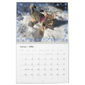 2020 SCHWEDISCHE VALLHUND-CALLENDAR KALENDER (Jan 2026)