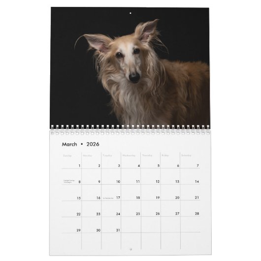 2020 Silberne Windhunde (1-1) Kalender (Mär 2026)