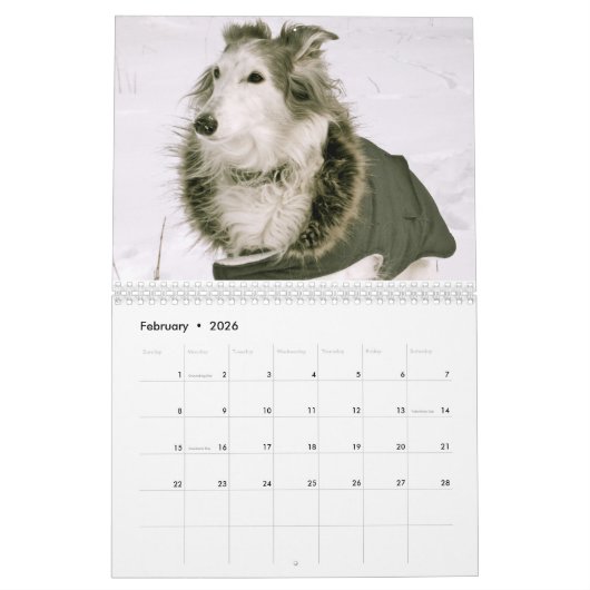 2020 Silberne Windhunde (1-1) Kalender (Feb 2026)