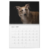 2020 Silberne Windhunde (1-1) Kalender (Mär 2027)