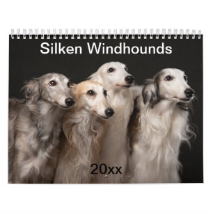 2020 Silberne Windhunde (2) Kalender