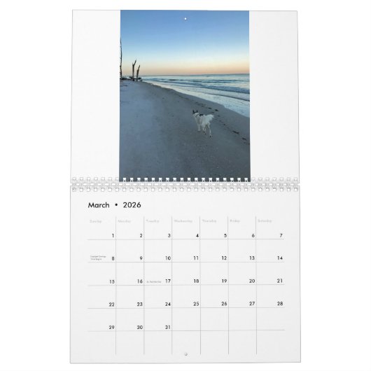 2020 Silberne Windhunde (2) Kalender (Mär 2026)