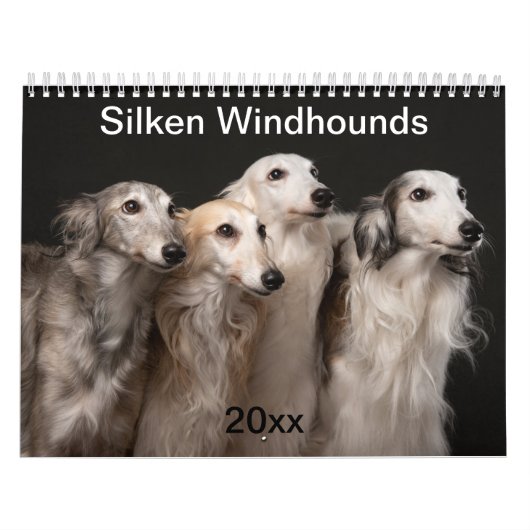 2020 Silberne Windhunde (2) Kalender (Titelbild)