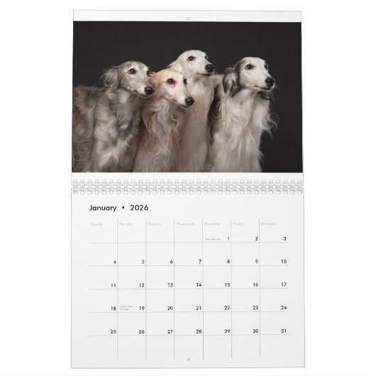 2020 Silberne Windhunde (2) Kalender (Jan 2026)