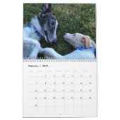 2020 Silken Windhound-Welpen Kalender (Feb 2027)