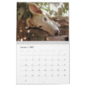 2020 Silken Windhound-Welpen Kalender (Jan 2027)