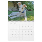 2020 Silken Windhound-Welpen Kalender (Mär 2027)