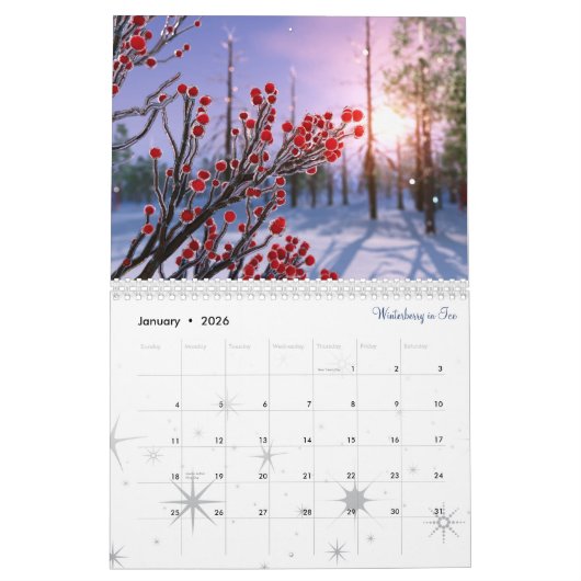 2020 SilverWebForge 3D Landschaftskalender Kalender (Jan 2026)