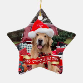 2020 Star Keramik Ornament