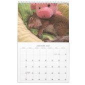 2020 Tumorkalender Kalender (Jan 2027)