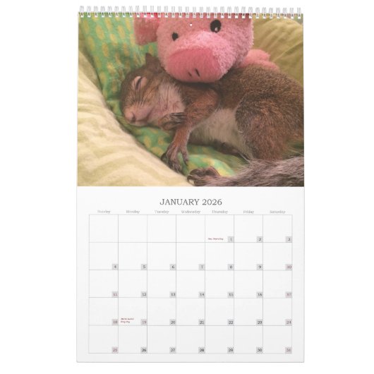 2020 Tumorkalender Kalender (Jan 2026)