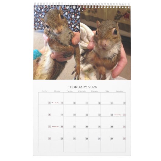 2020 Tumorkalender Kalender (Feb 2026)