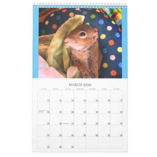 2020 Tumorkalender Kalender (Mär 2026)