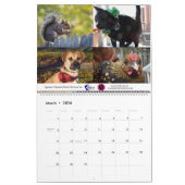 2020 Violetville Pet Calendar ~ Alle Haustiere Kalender (Mär 2026)