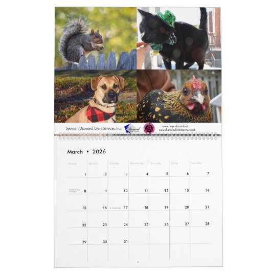 2020 Violetville Pet Calendar ~ Alle Haustiere Kalender (Mär 2026)
