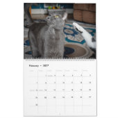 2020 Violetville Pet Calendar ~ Cat Edition Kalender (Feb 2027)