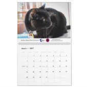 2020 Violetville Pet Calendar ~ Cat Edition Kalender (Mär 2027)