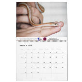 2020 Violetville Pet Calendar ~ Unique Pet Edition Kalender (Mär 2026)