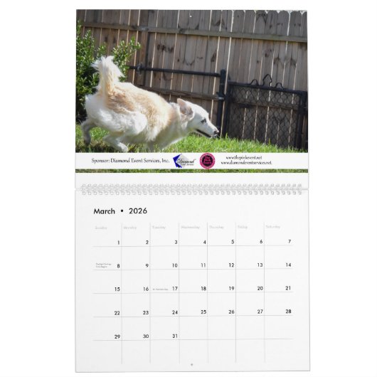 2020 Violetville Pet Calendar ~ Zoomies Edition Kalender (Mär 2026)
