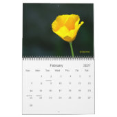 2020 wird farbig sein kalender (Feb 2027)