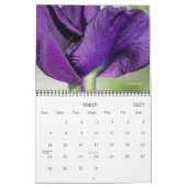 2020 wird farbig sein kalender (Mär 2027)
