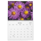 2020 wird farbig sein kalender (Jan 2027)