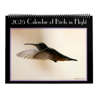 2020 Zeitplan für Vögel im Flug Kalender