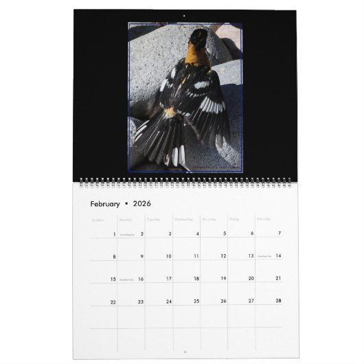 2020 Zeitplan für Vögel im Flug Kalender (Feb 2026)