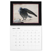 2020 Zeitplan für Vögel im Flug Kalender (Mär 2026)