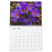 2021 aus dem Gartenkalender von Lin Kalender (Jan 2026)