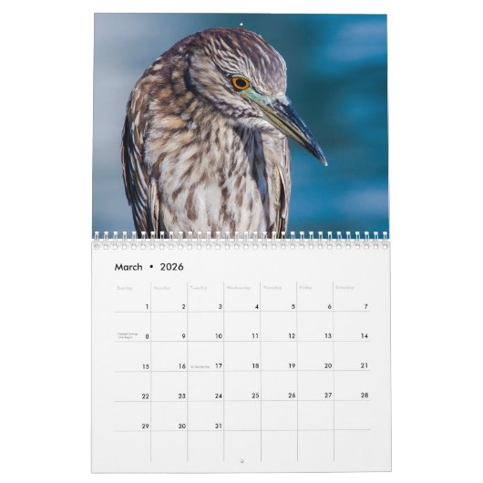 2021 Beach Birds Fotografie Kalender (Mär 2026)