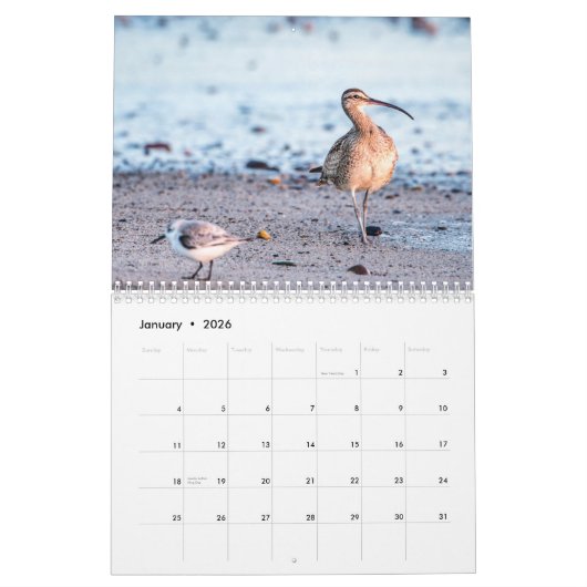 2021 Beach Birds Fotografie Kalender (Jan 2026)