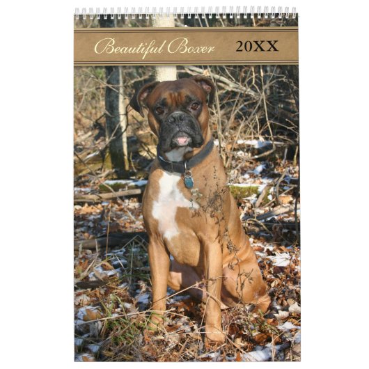 2021 Beautiful Boxer Dog Kalender (Titelbild)