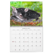 2021 Besserer Tierkalkalender Kalender (Mär 2027)