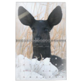 2021 Besserer Tierkalkalender Kalender (Jan 2027)