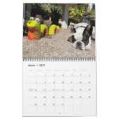 2021 BUBBA VIBE CALENDAR KALENDER (Mär 2027)