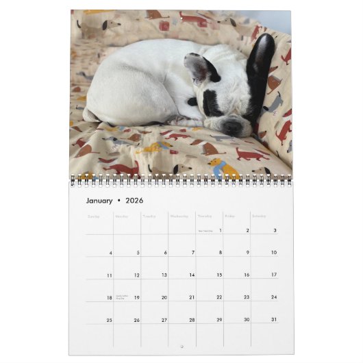 2021 BUBBA VIBE CALENDAR KALENDER (Jan 2026)