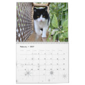 2021 Cat Wall Calendar, Life of Sly Pie Kalender (Feb 2027)