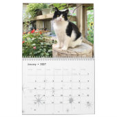 2021 Cat Wall Calendar, Life of Sly Pie Kalender (Jan 2027)