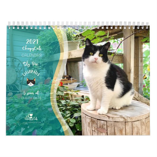 2021 Cat Wall Calendar, Life of Sly Pie Kalender (Titelbild)