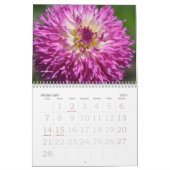 2021 DAHLIA CALENDAR - DRYANORIGINALER KALENDER (Feb 2027)