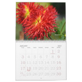 2021 DAHLIA CALENDAR - DRYANORIGINALER KALENDER (Jan 2027)