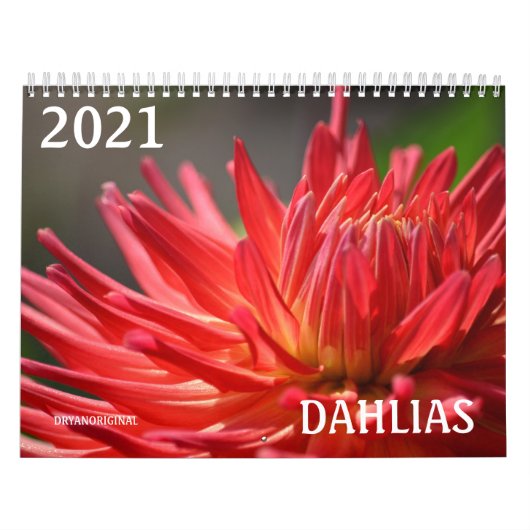 2021 DAHLIA CALENDAR - DRYANORIGINALER KALENDER (Titelbild)