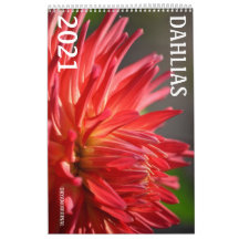 2021 DAHLIA CALENDAR - DRYANORIGINALER KALENDER