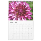 2021 DAHLIA CALENDAR - DRYANORIGINALER KALENDER (Jan 2027)