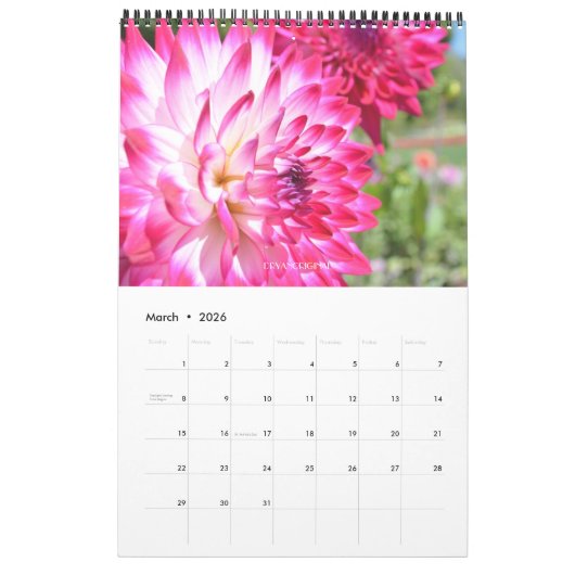 2021 DAHLIA CALENDAR - DRYANORIGINALER KALENDER (Mär 2026)